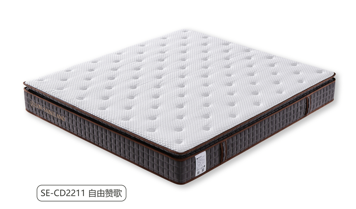 SE-CD2211 自由赞歌