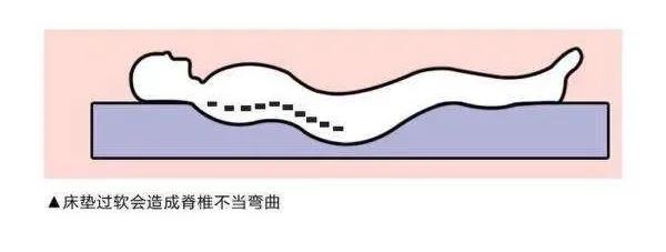 选择好的床垫，打造健康舒适草莓软件视频！(图3)