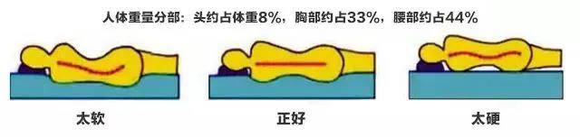 选择好的床垫，打造健康舒适草莓软件视频！(图4)